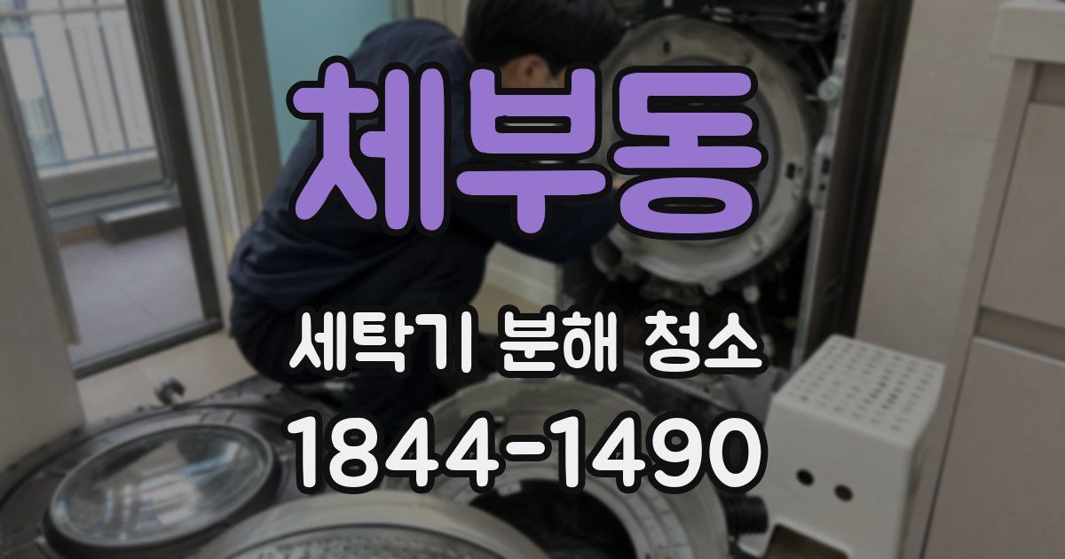 체부동 세탁기 분해 청소