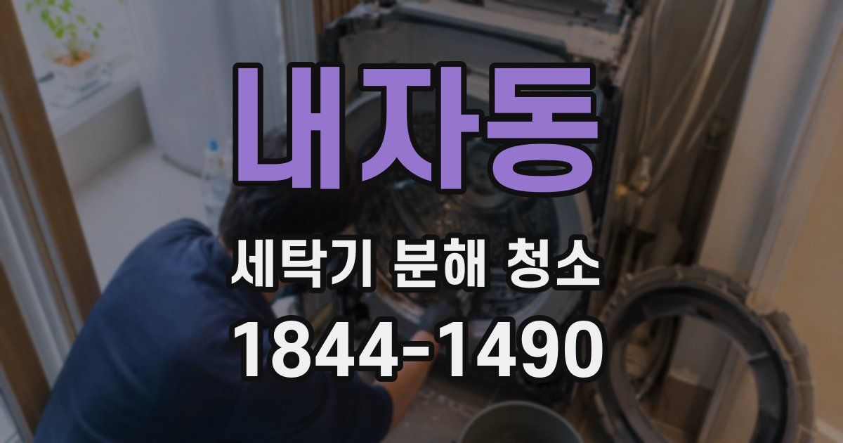 내자동 세탁기 분해 청소