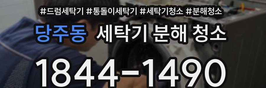 당주동 세탁기 분해 청소