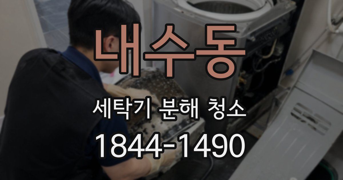 내수동 세탁기 분해 청소