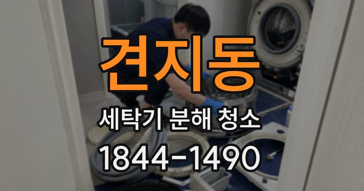 견지동 세탁기 분해 청소