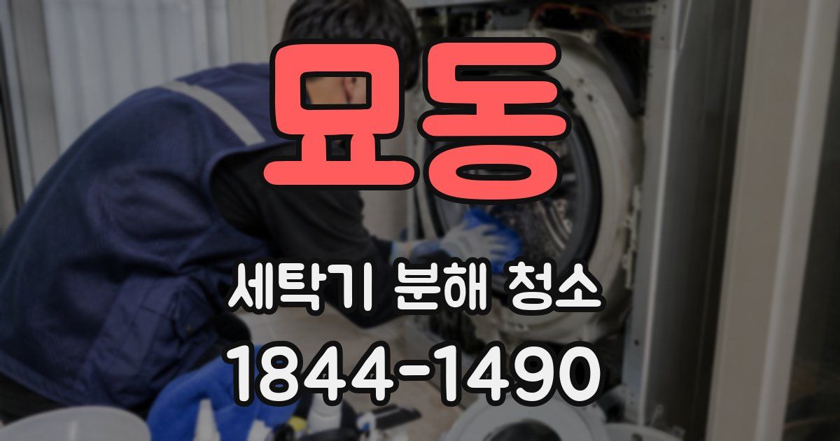 묘동 세탁기 분해 청소