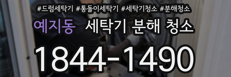 예지동 세탁기 분해 청소