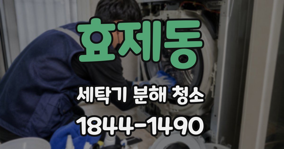 효제동 세탁기 분해 청소