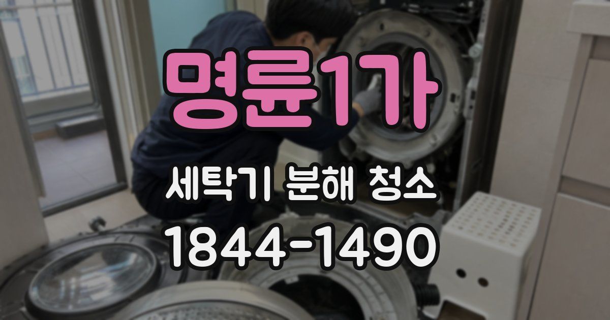 명륜1가 세탁기 분해 청소