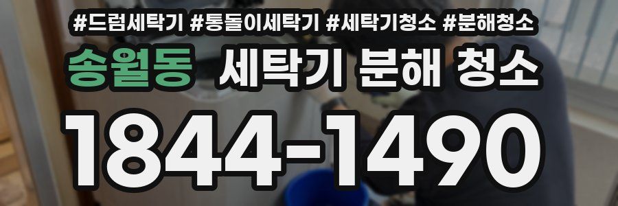 송월동 세탁기 분해 청소