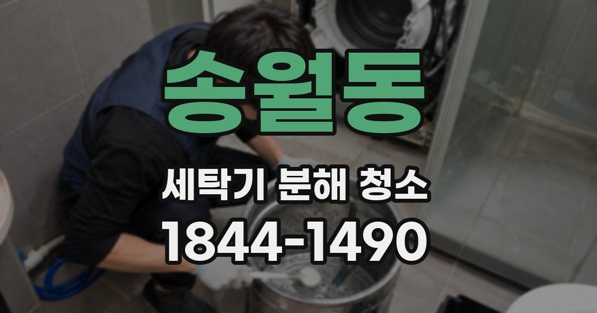 송월동 세탁기 분해 청소
