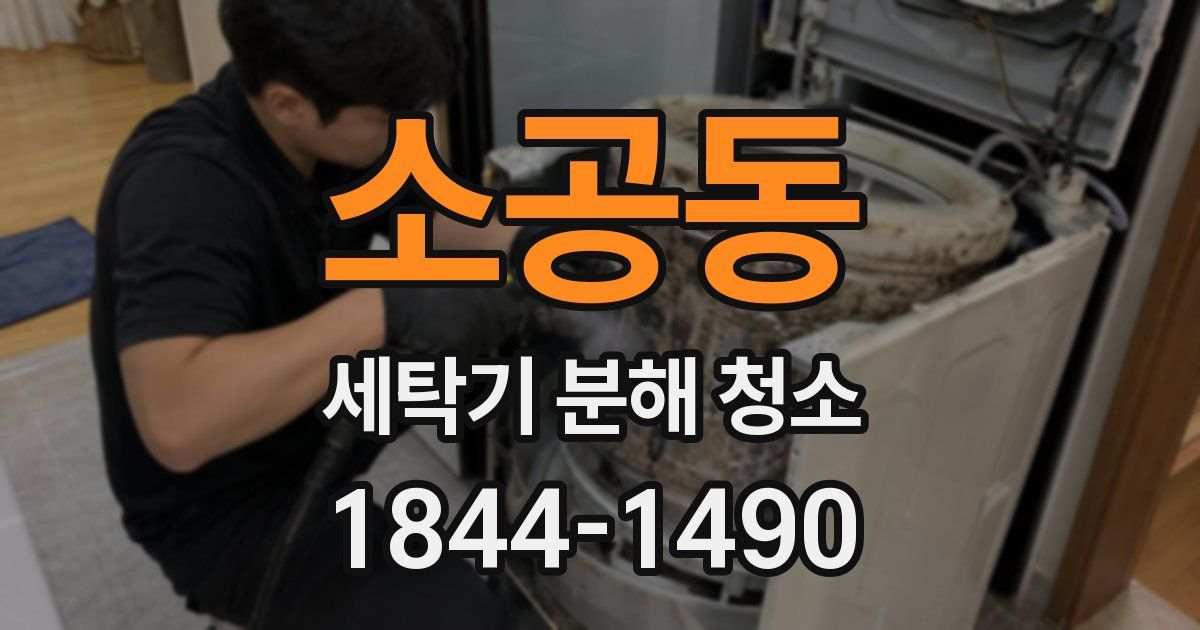 소공동 세탁기 분해 청소