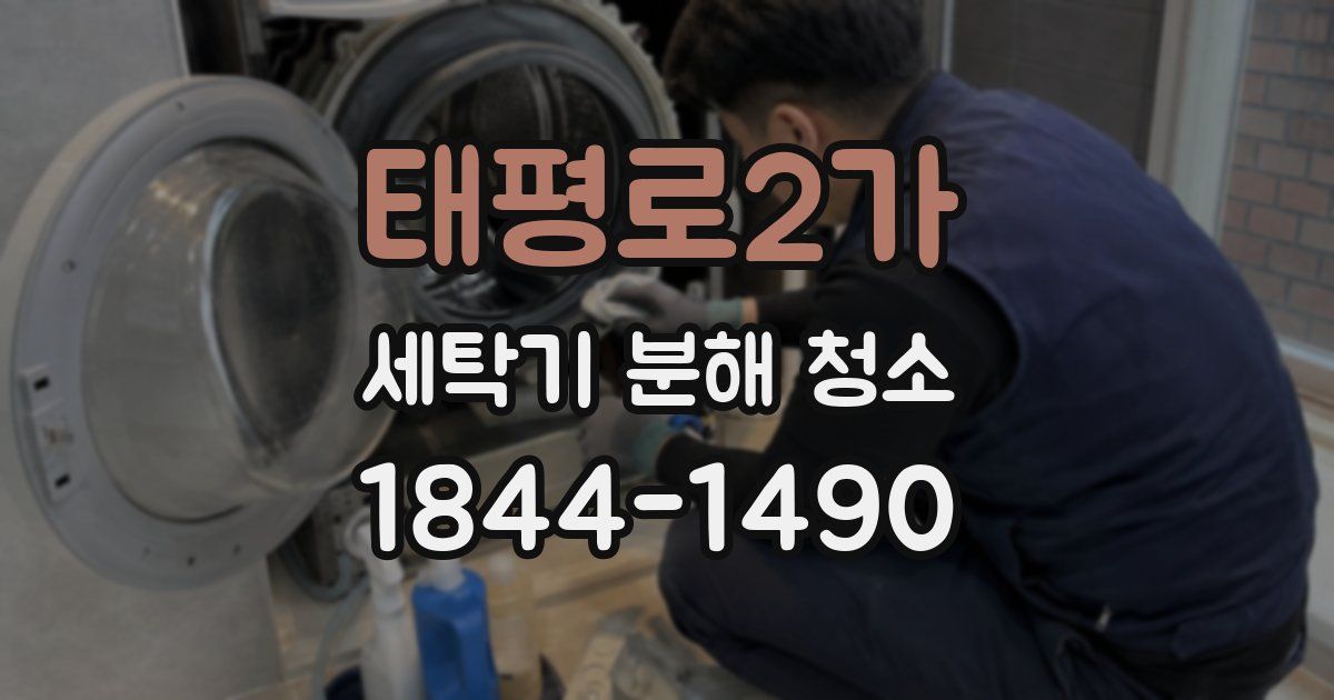 태평로2가 세탁기 분해 청소