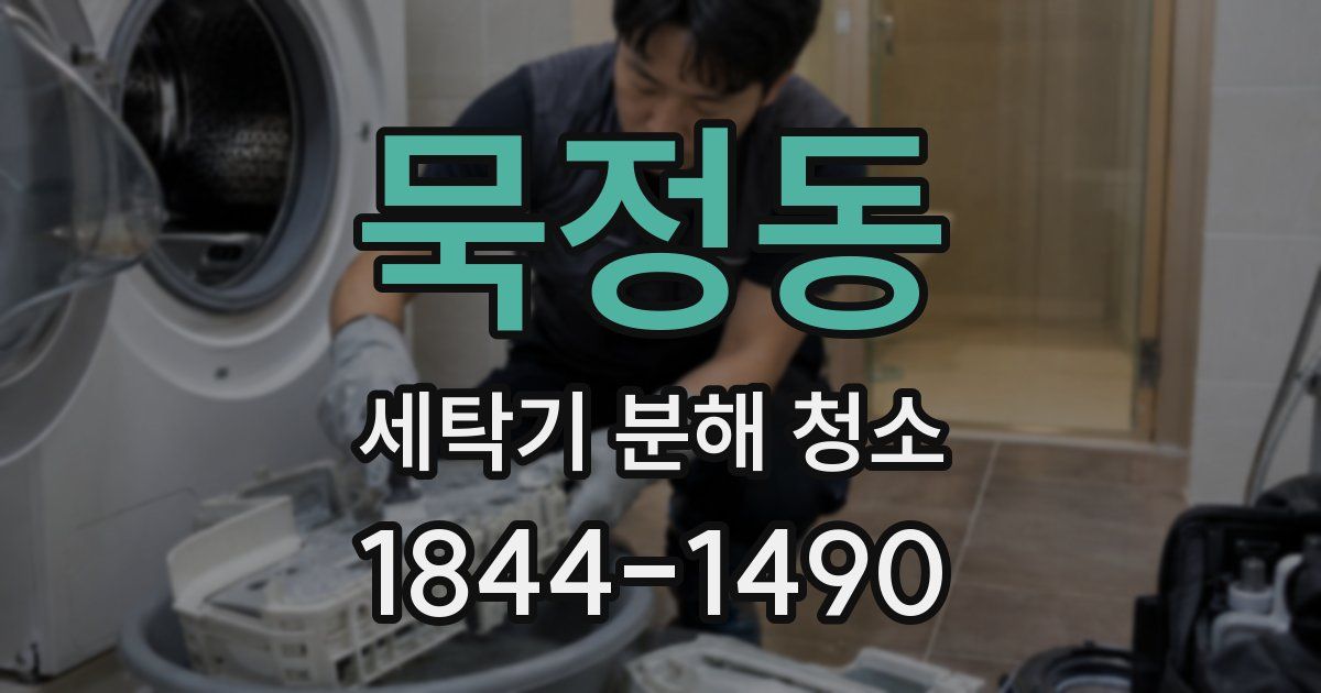 묵정동 세탁기 분해 청소