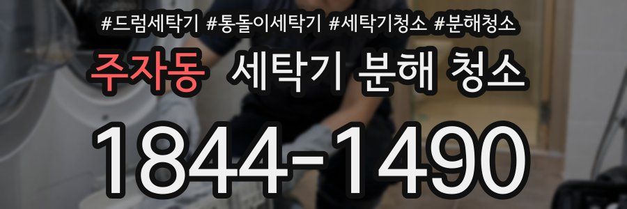 주자동 세탁기 분해 청소