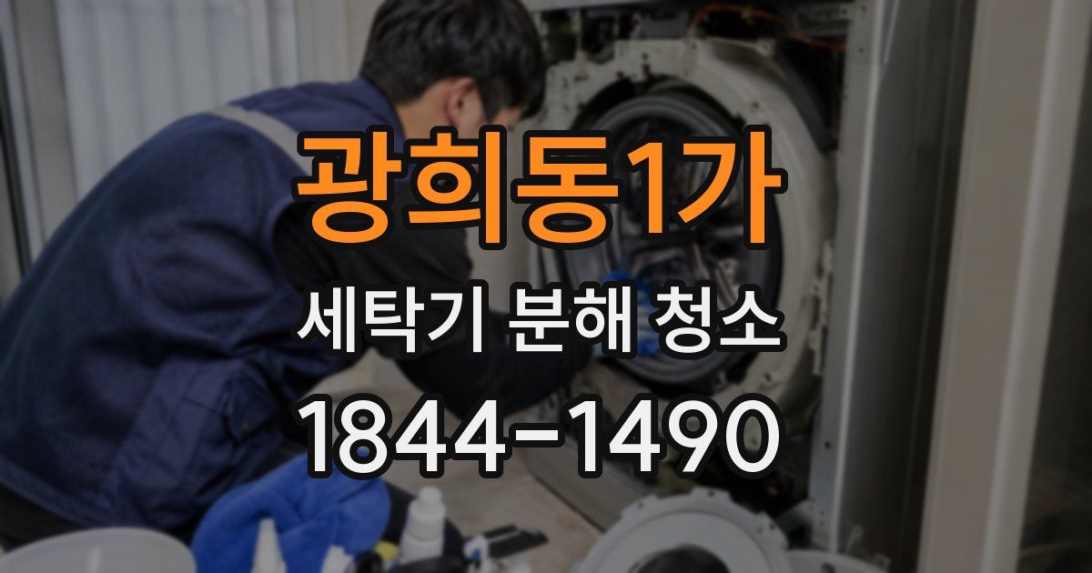 광희동1가 세탁기 분해 청소