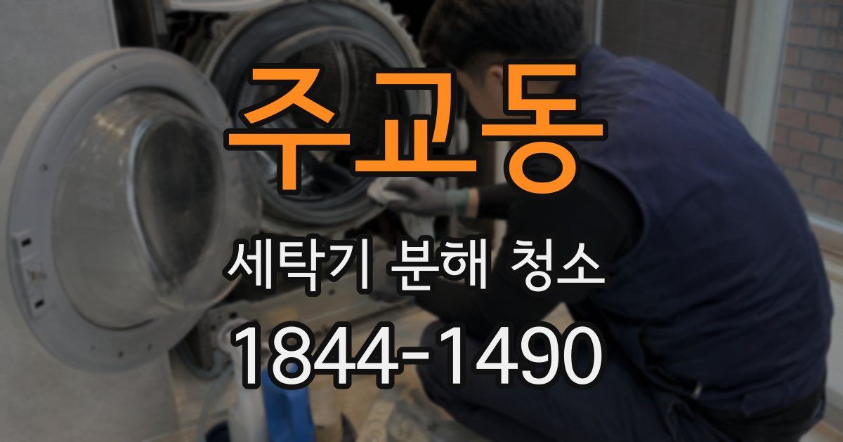 주교동 세탁기 분해 청소