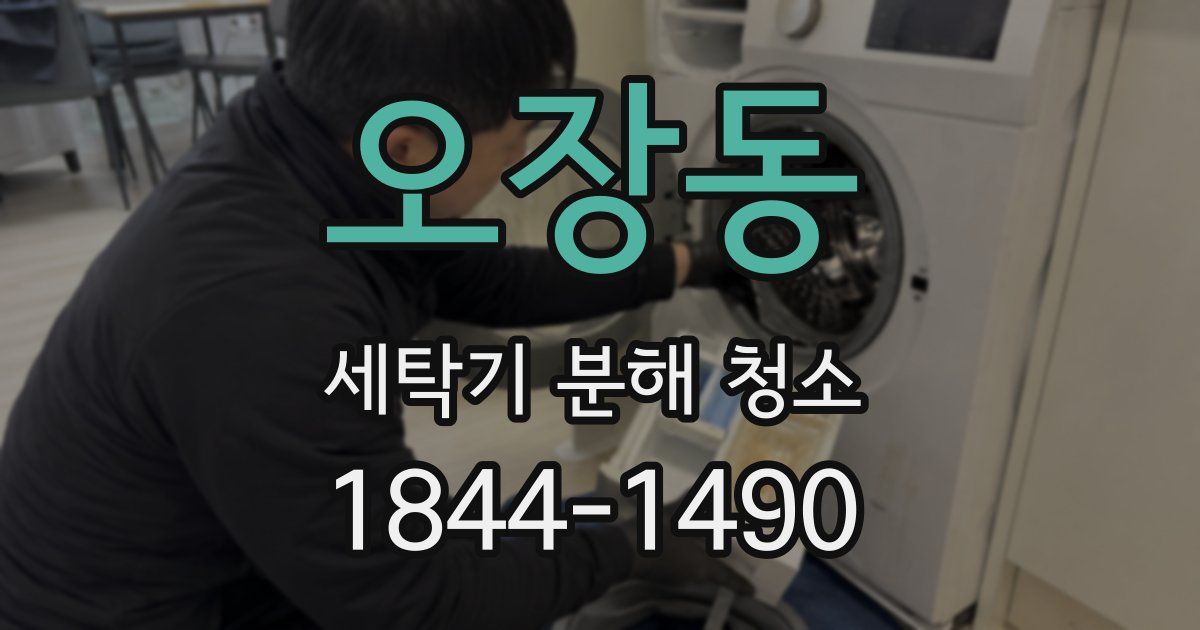 오장동 세탁기 분해 청소