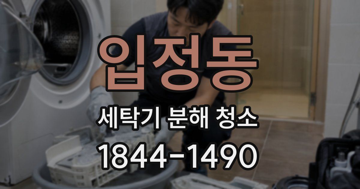 입정동 세탁기 분해 청소