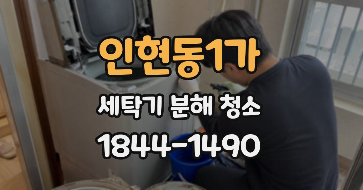 인현동1가 세탁기 분해 청소
