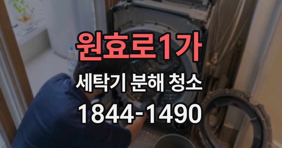 원효로1가 세탁기 분해 청소