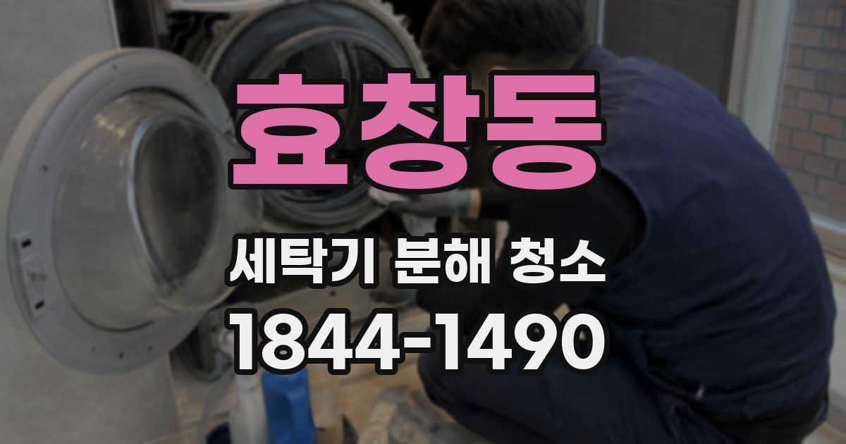 효창동 세탁기 분해 청소