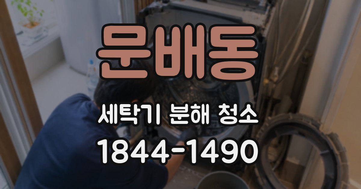 문배동 세탁기 분해 청소