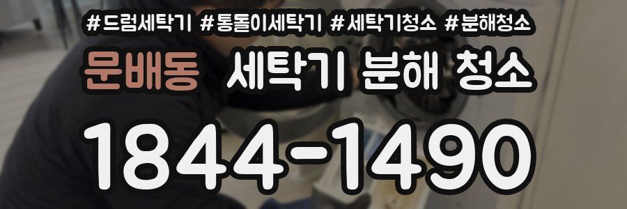문배동 세탁기 분해 청소