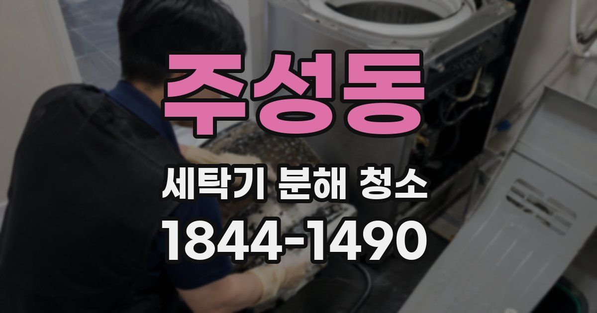 주성동 세탁기 분해 청소