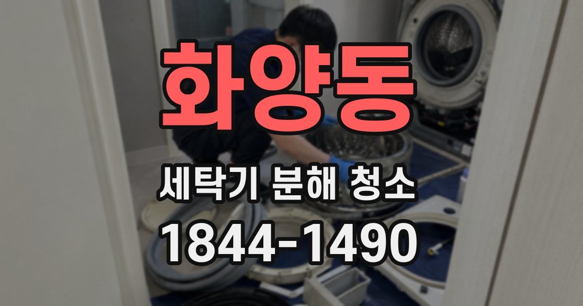 화양동 세탁기 분해 청소
