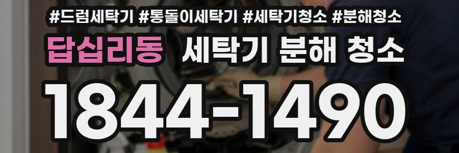 답십리동 세탁기 분해 청소