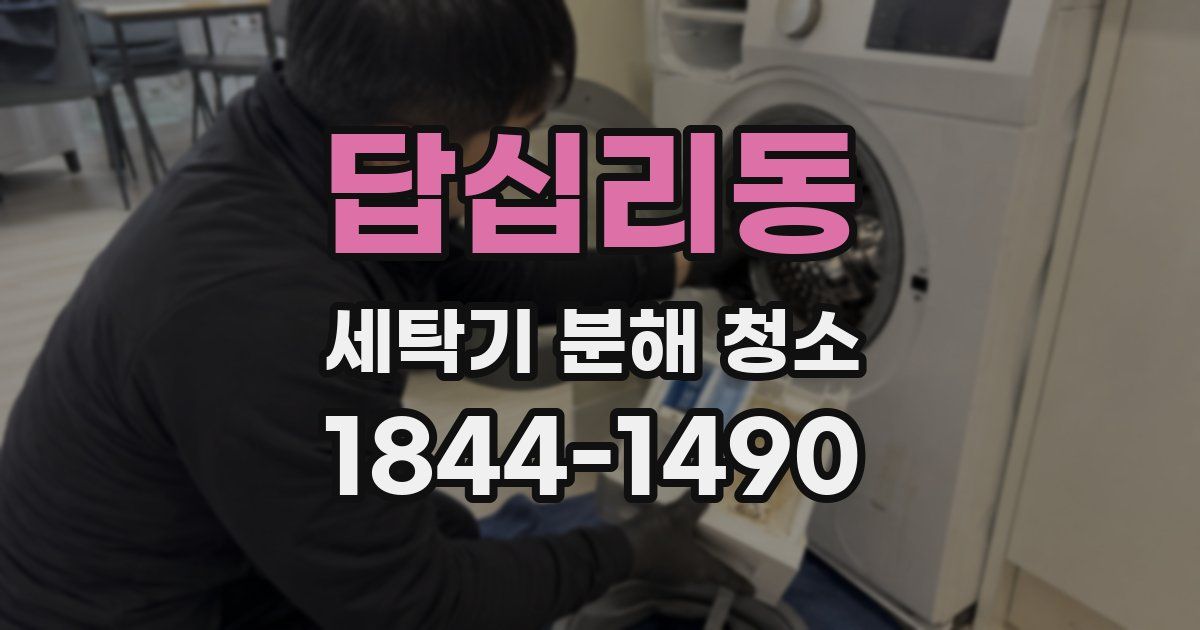 답십리동 세탁기 분해 청소