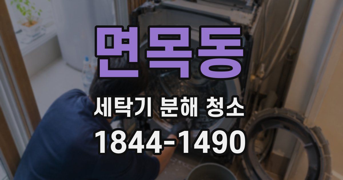 면목동 세탁기 분해 청소