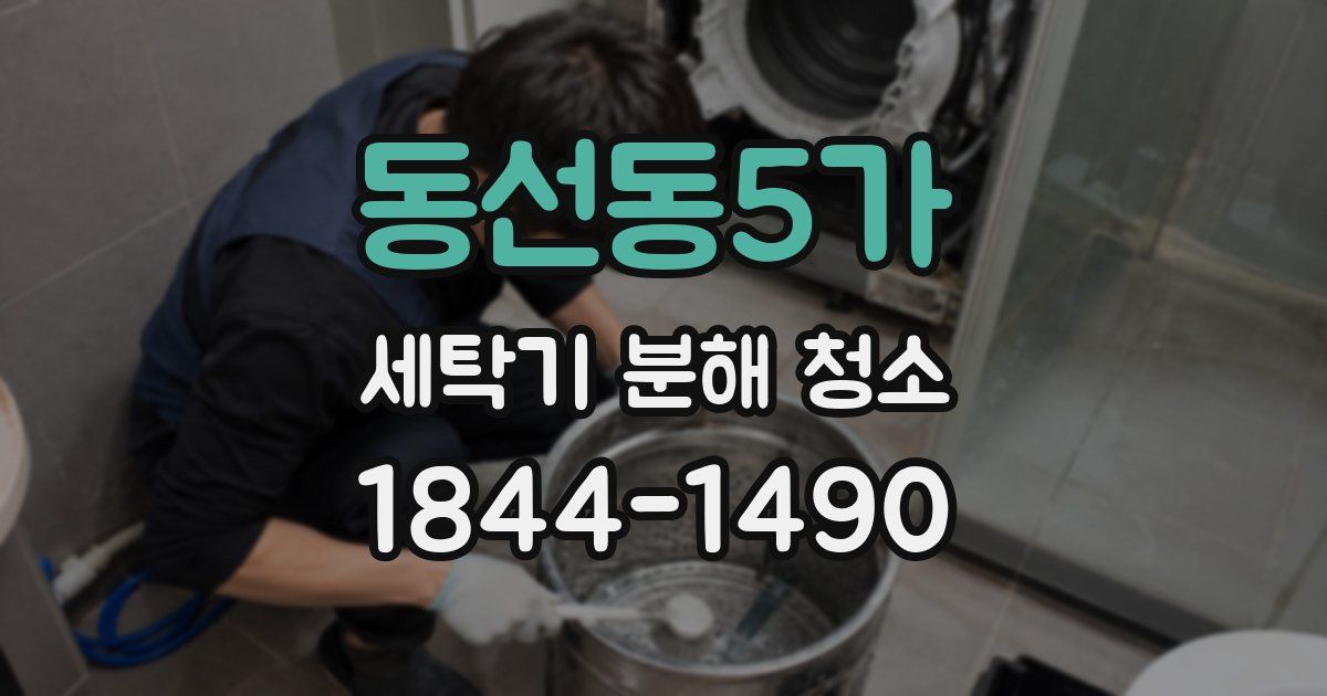 동선동5가 세탁기 분해 청소