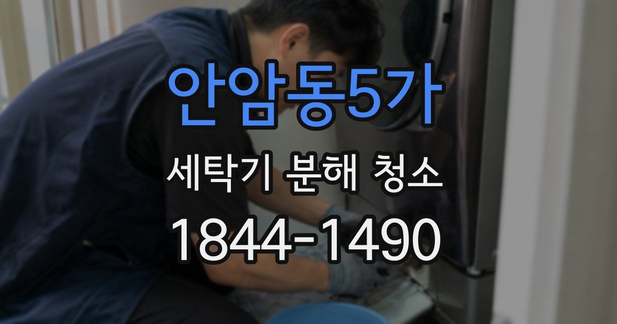 안암동5가 세탁기 분해 청소