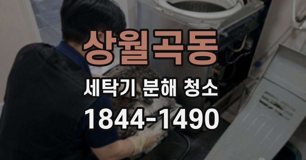 상월곡동 세탁기 분해 청소