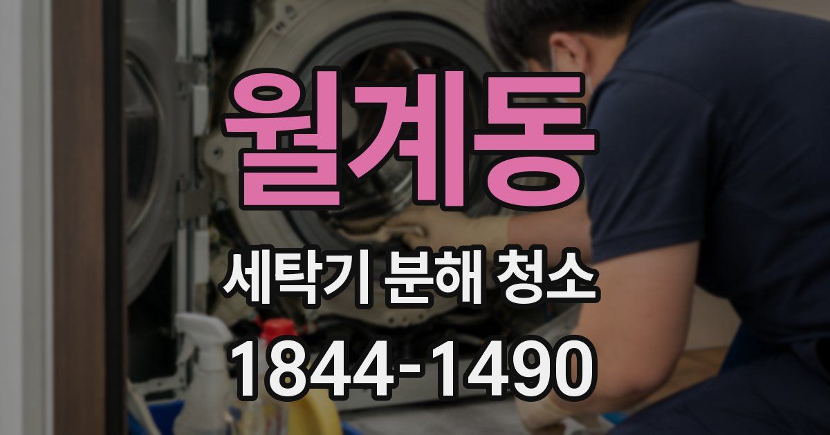 월계동 세탁기 분해 청소