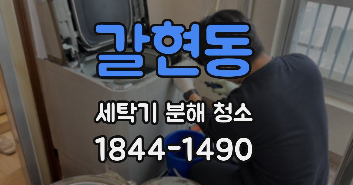 갈현동 세탁기 분해 청소