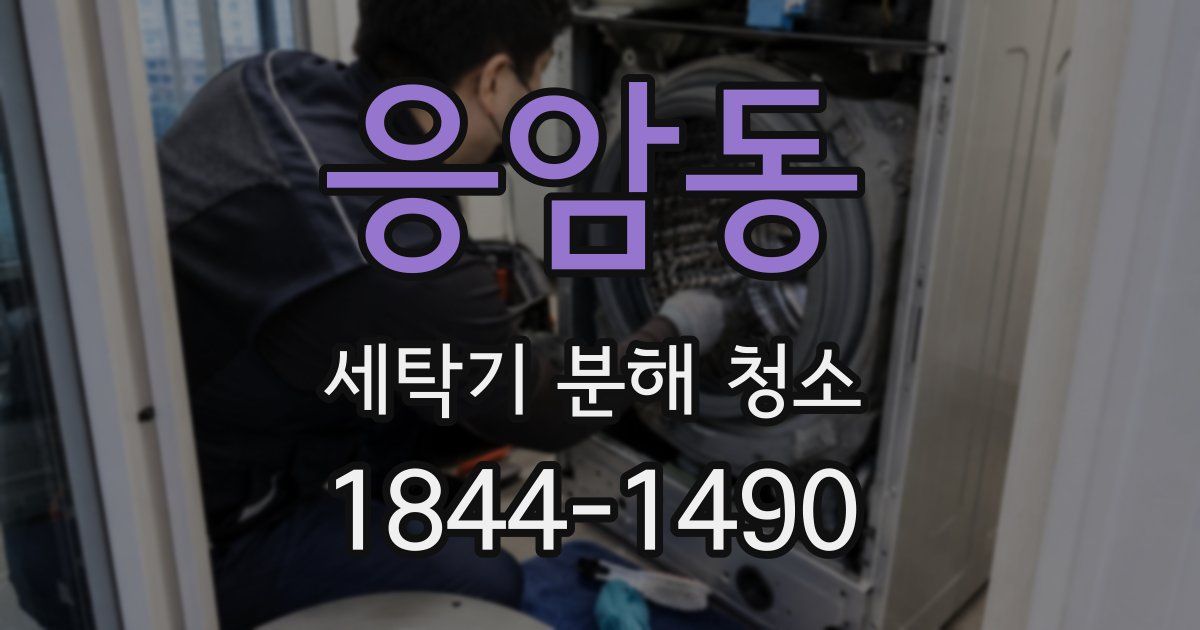 응암동 세탁기 분해 청소