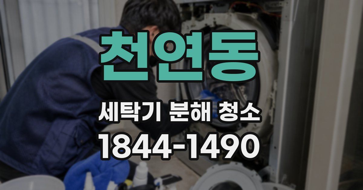 천연동 세탁기 분해 청소
