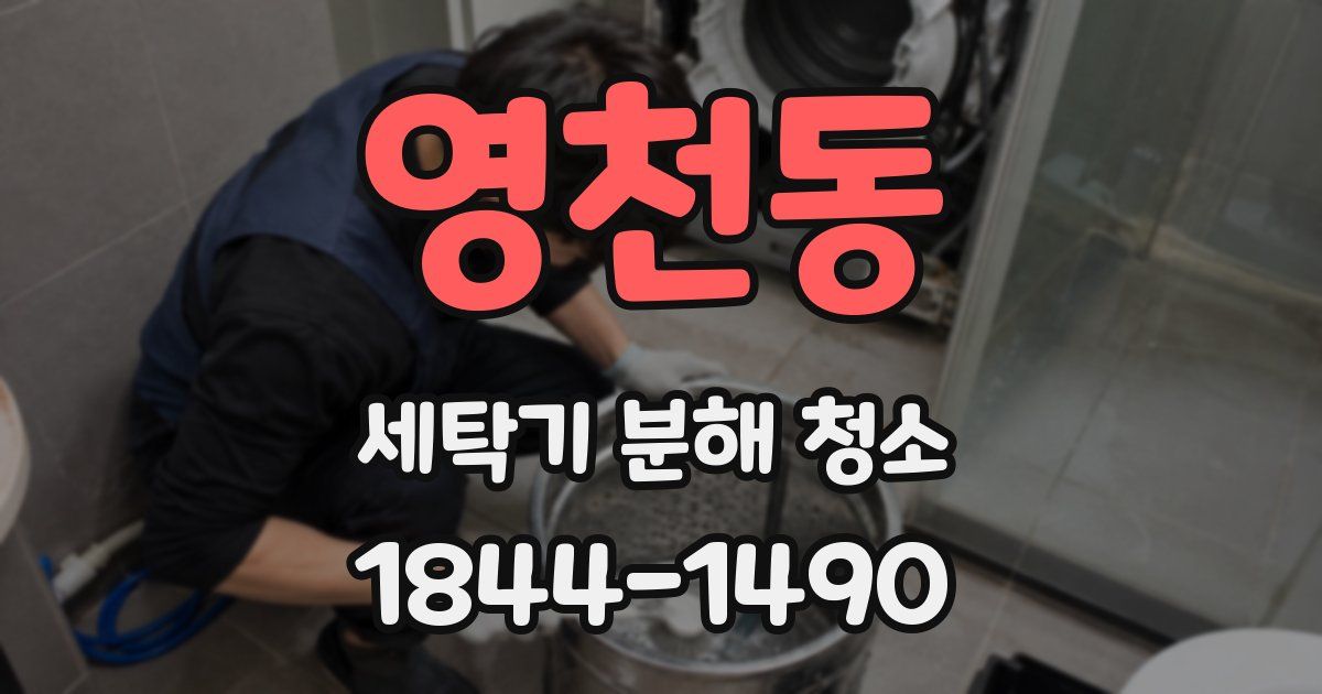 영천동 세탁기 분해 청소