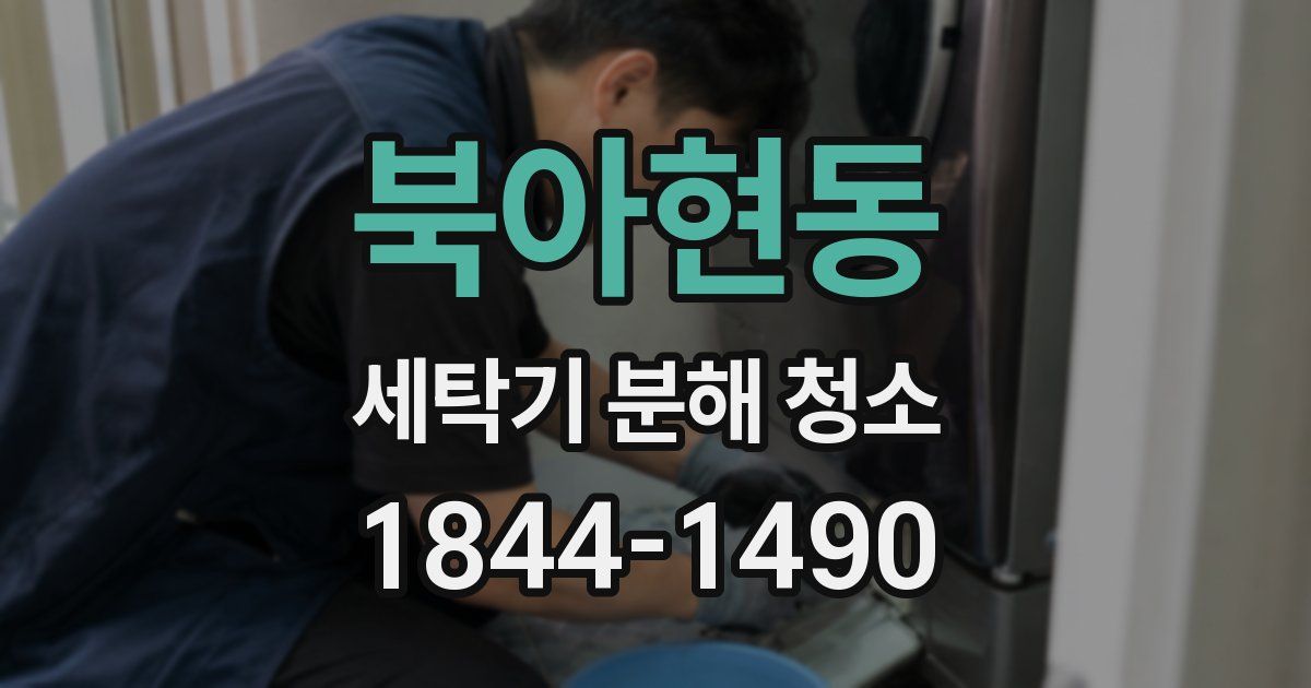 북아현동 세탁기 분해 청소