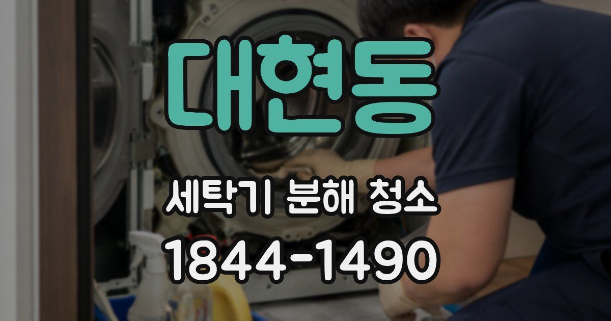 대현동 세탁기 분해 청소