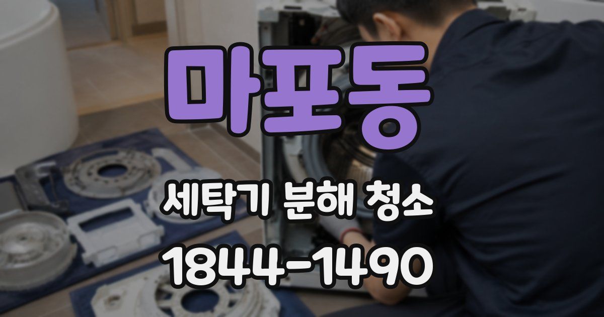 마포동 세탁기 분해 청소