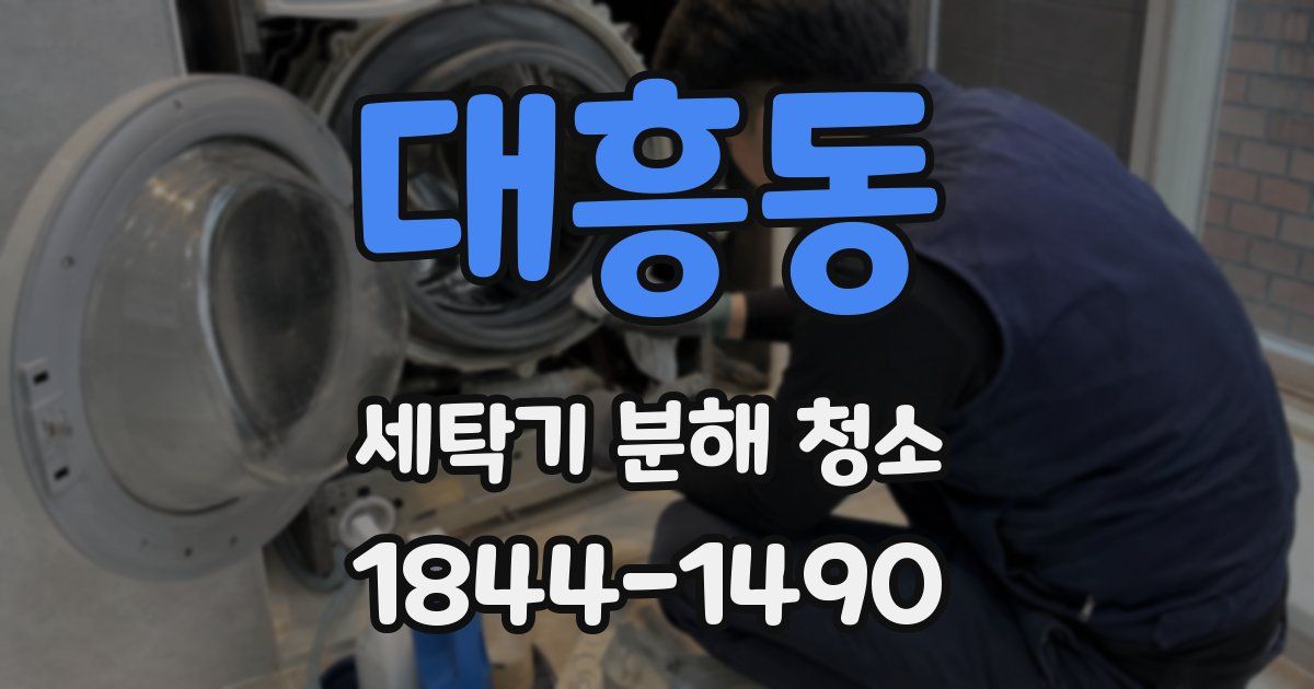 대흥동 세탁기 분해 청소