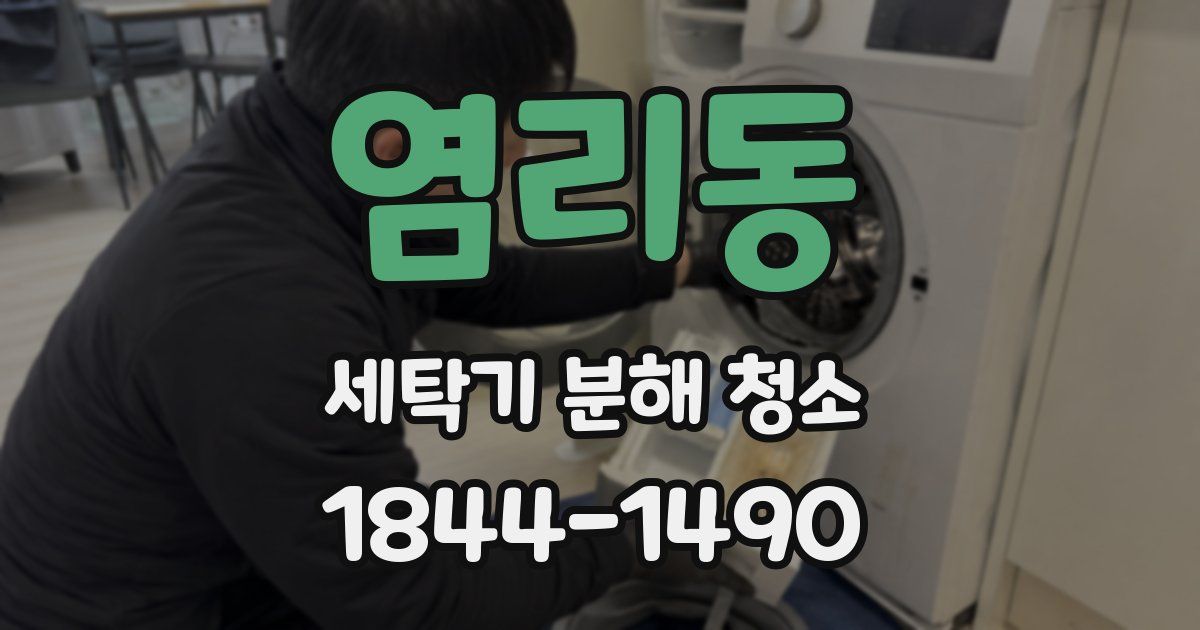 염리동 세탁기 분해 청소