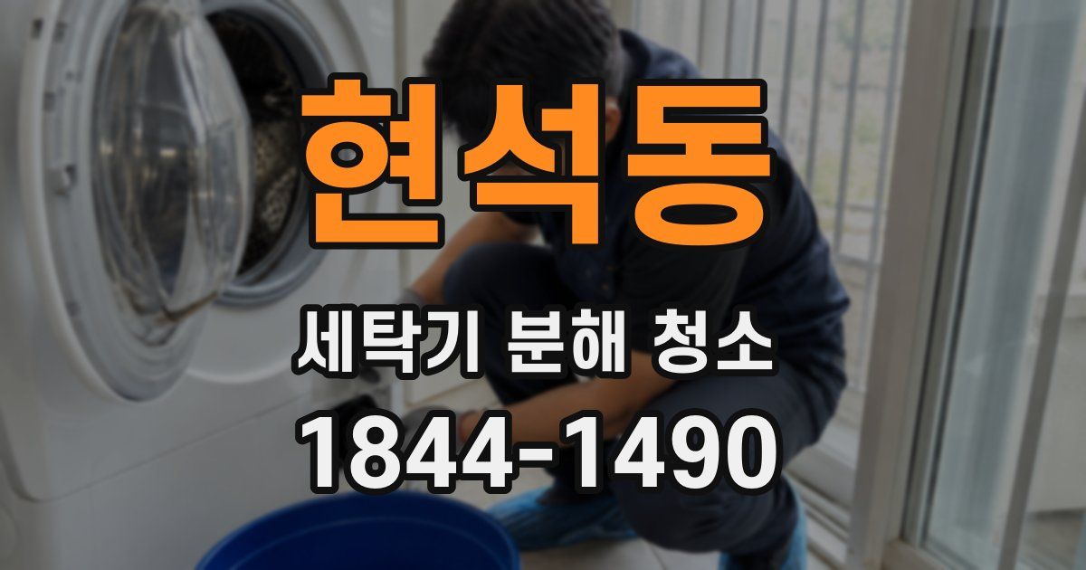 현석동 세탁기 분해 청소