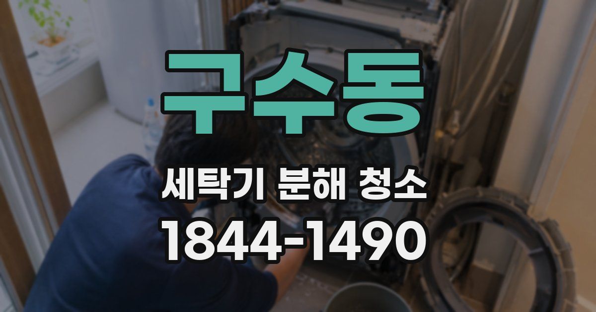 구수동 세탁기 분해 청소