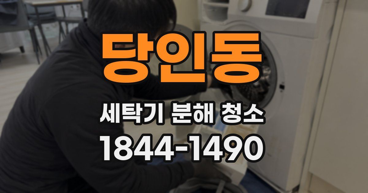 당인동 세탁기 분해 청소