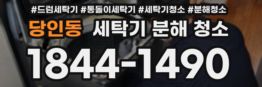 당인동 세탁기 분해 청소