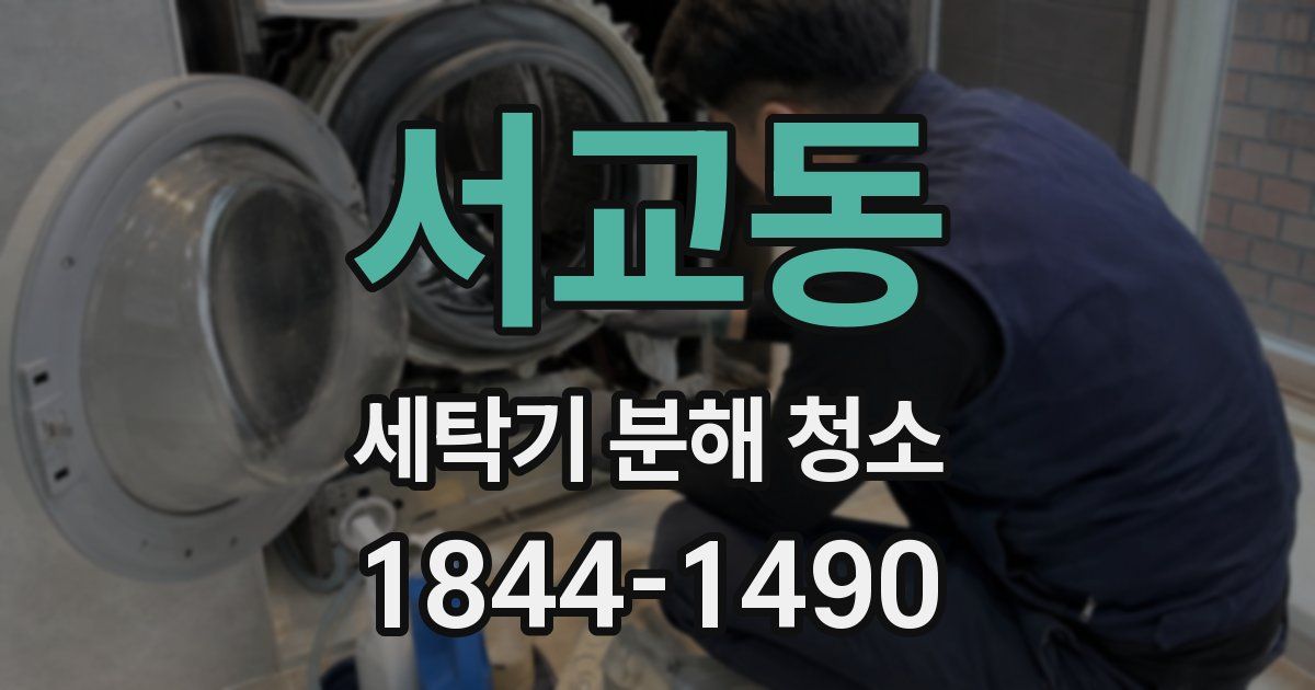서교동 세탁기 분해 청소
