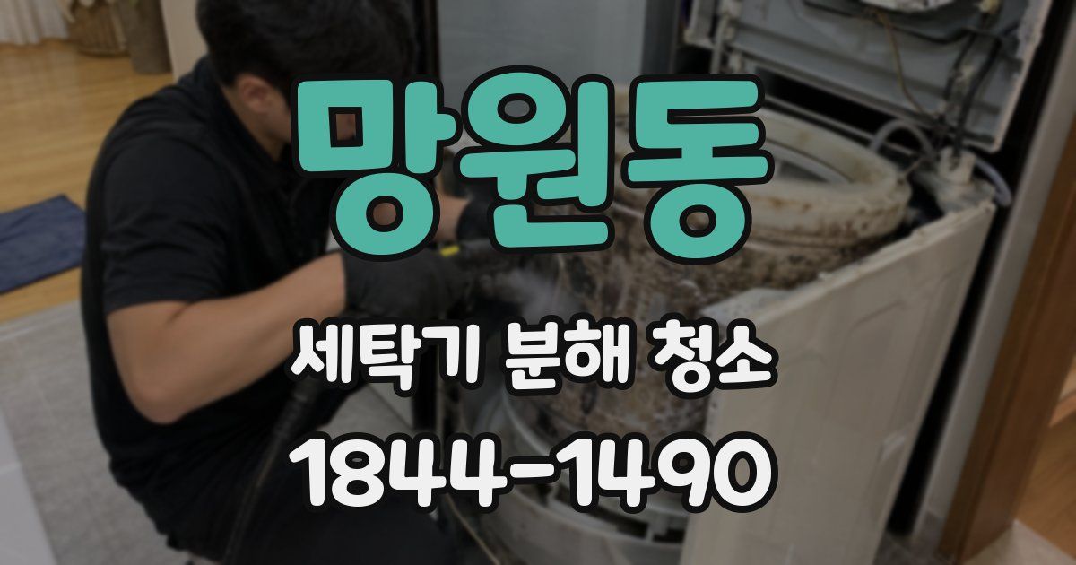 망원동 세탁기 분해 청소