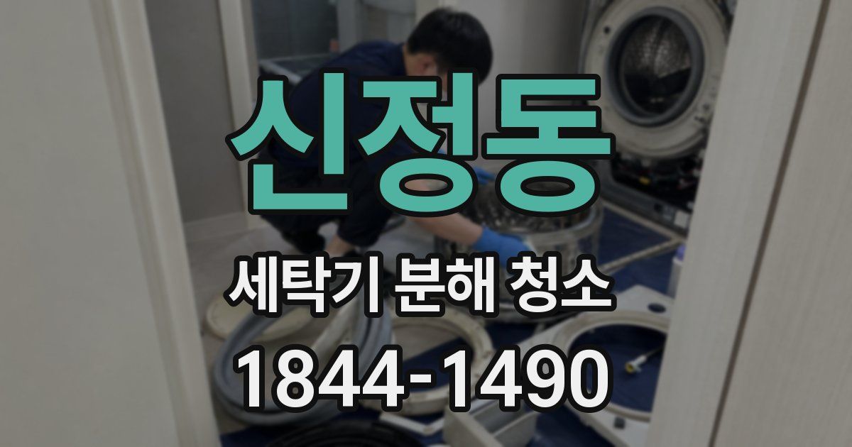 신정동 세탁기 분해 청소