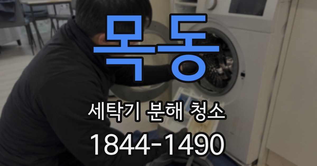 목동 세탁기 분해 청소